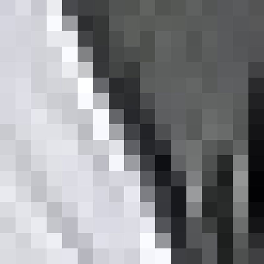 White Heather Grey
