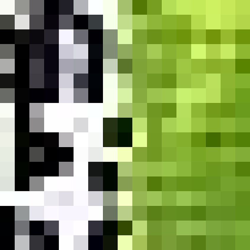 Volt