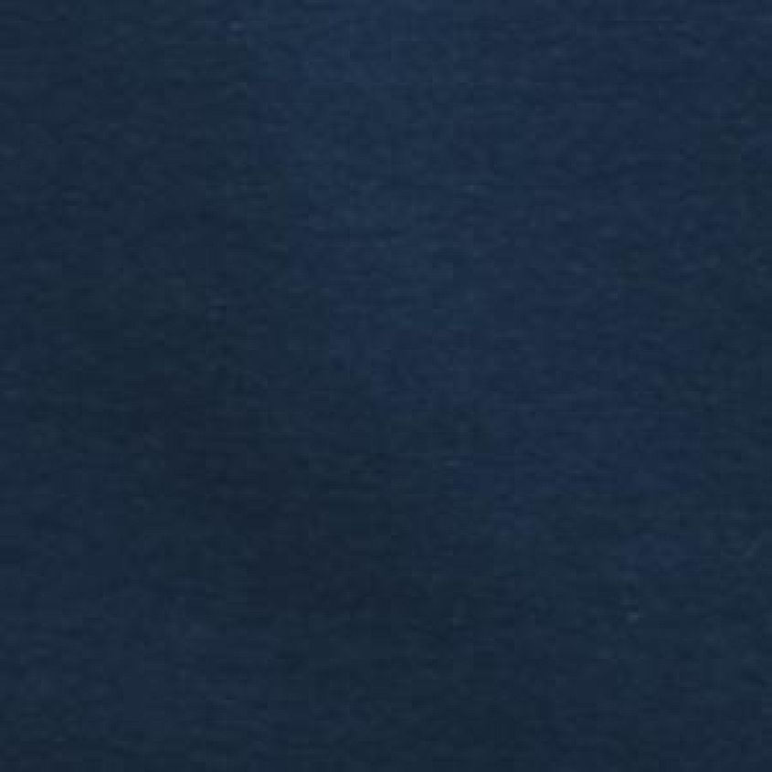 Insignia Blue