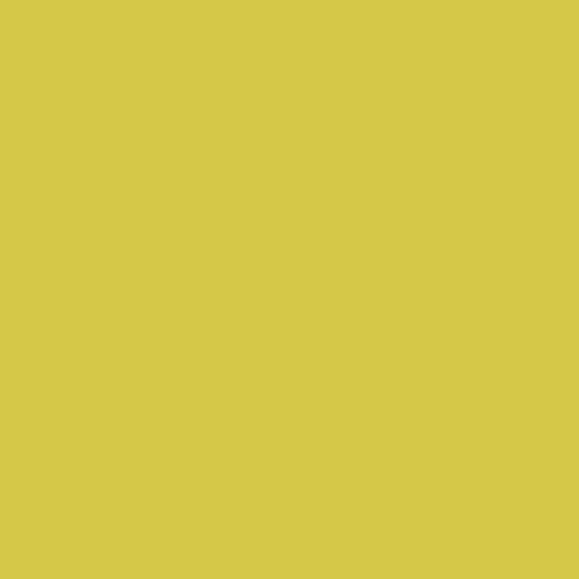 Pinapple Cilantro