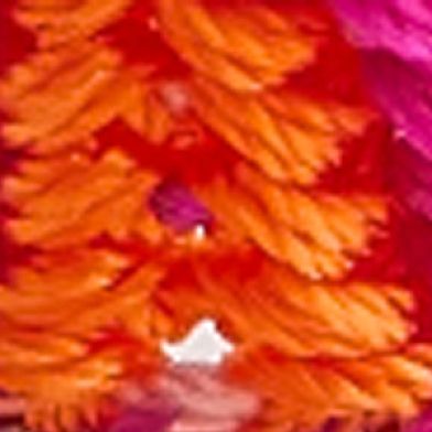 Pink Multi