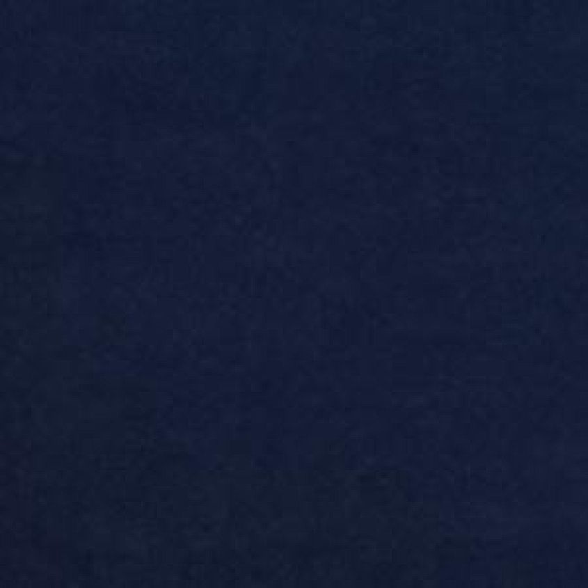 Iris Navy