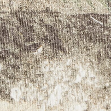 Camo Print
