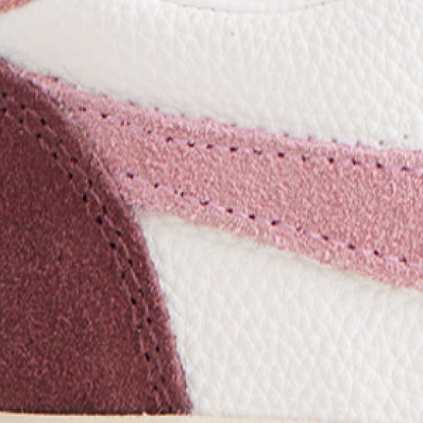 White Dusty Rose Coral
