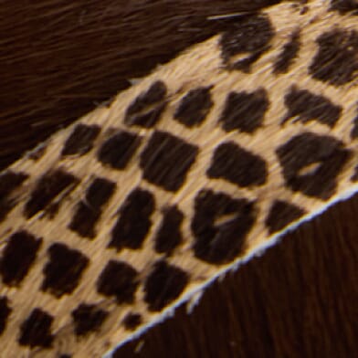 Cleora Luxe Leather Sneaker thumbnail 3