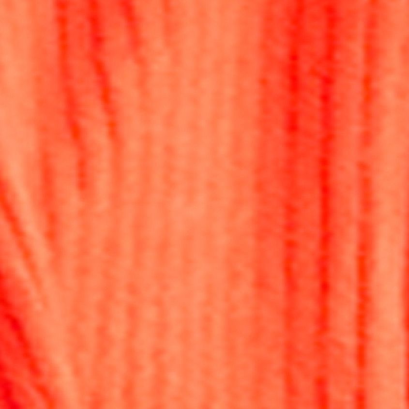 Poppy Red