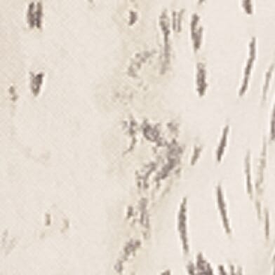Tan Leopard