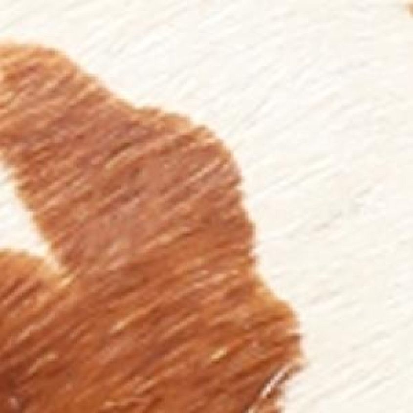 Cowprint