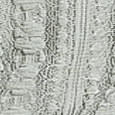Seagrass