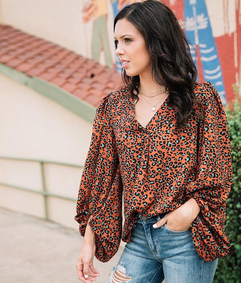 Sandy & Sid Animal Print V-Neck Blouse front view