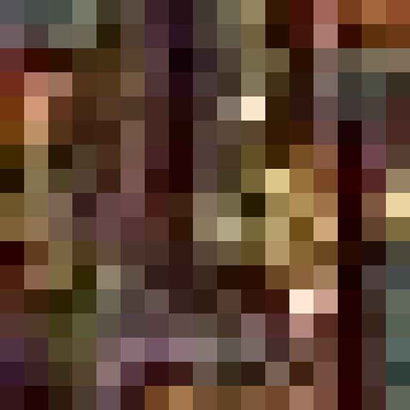 Teal Rust
