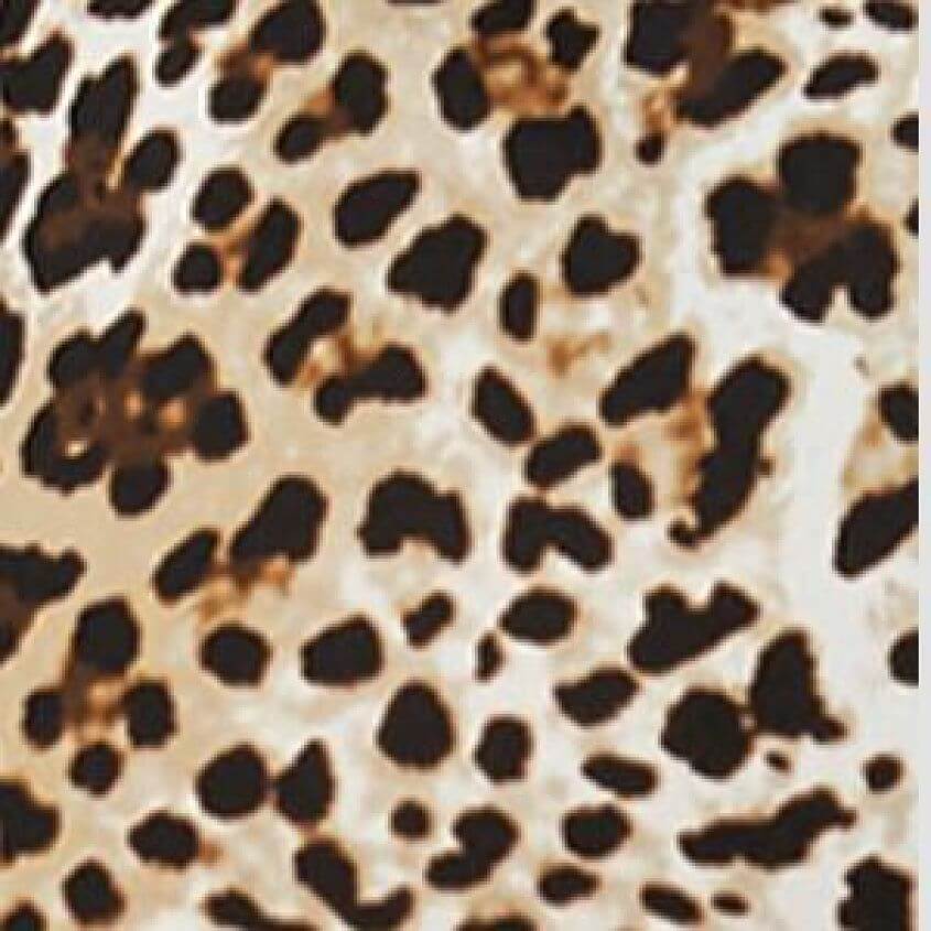 Taupe Brown