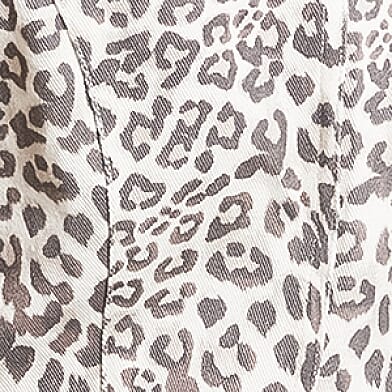 Gray Cheetah