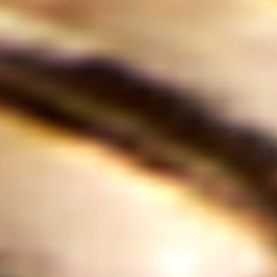 Gold Brown