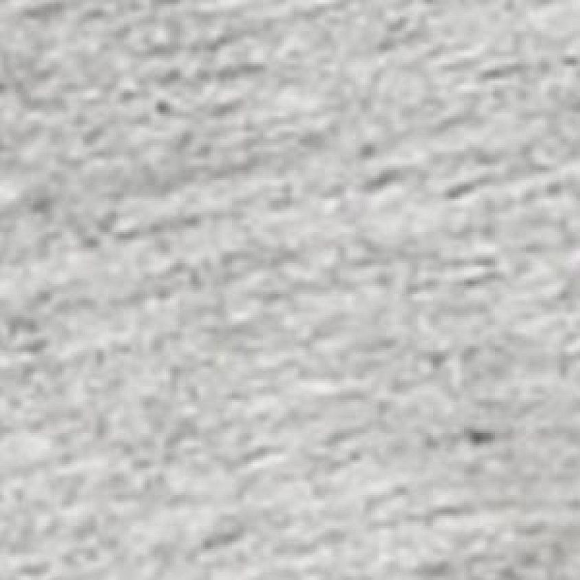 Grey Batwing