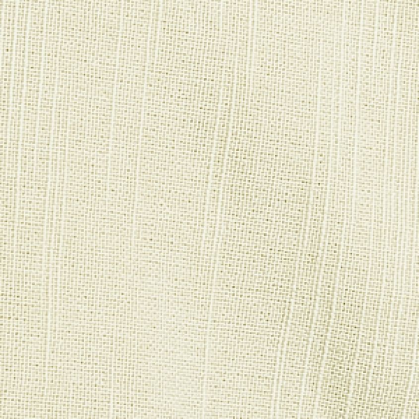 Wasabi