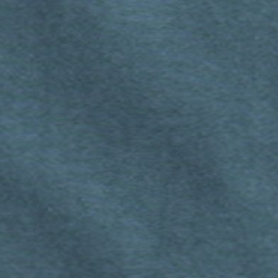 Duck Blue