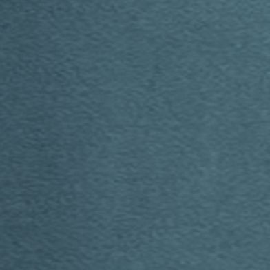Duck Blue