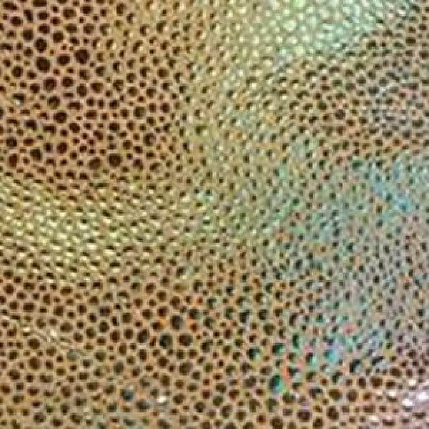 Sand Rainbow Ray