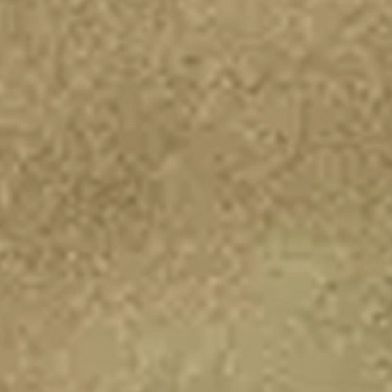 Muted Olive Suede