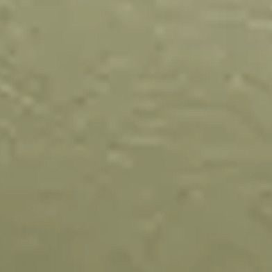 Muted Olive