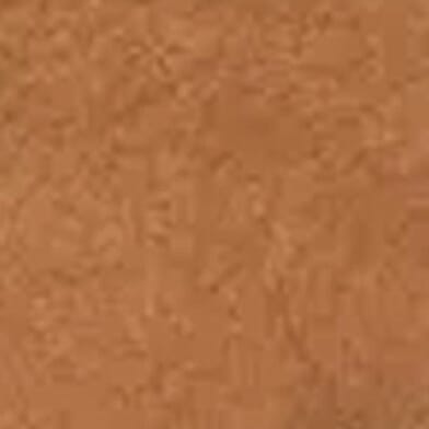 Desert Brown