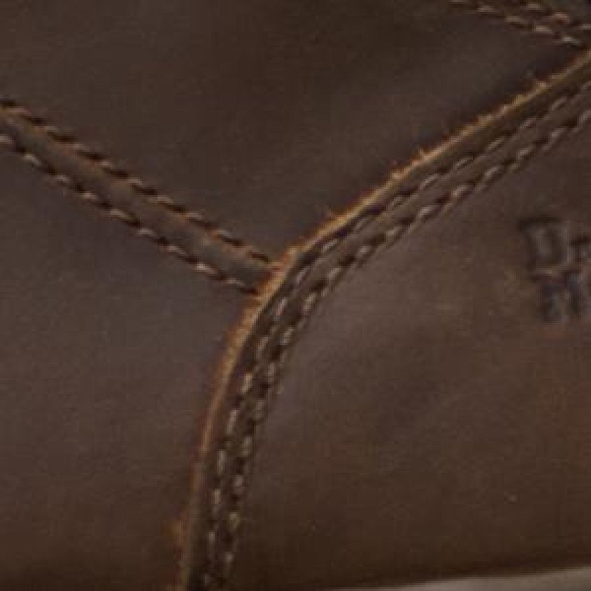 Gaucho Crazy Horse