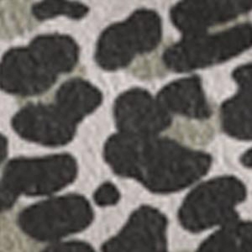 Aztec Jungle Beige
