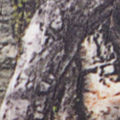 Camo