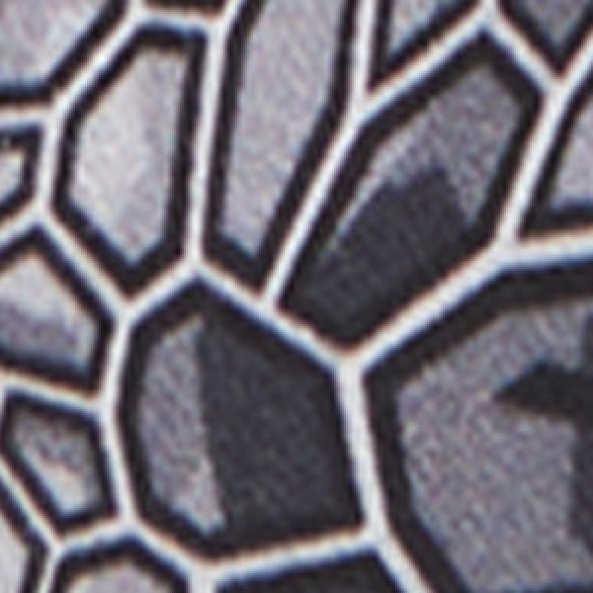 Grey Multi