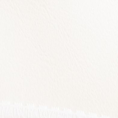 White White