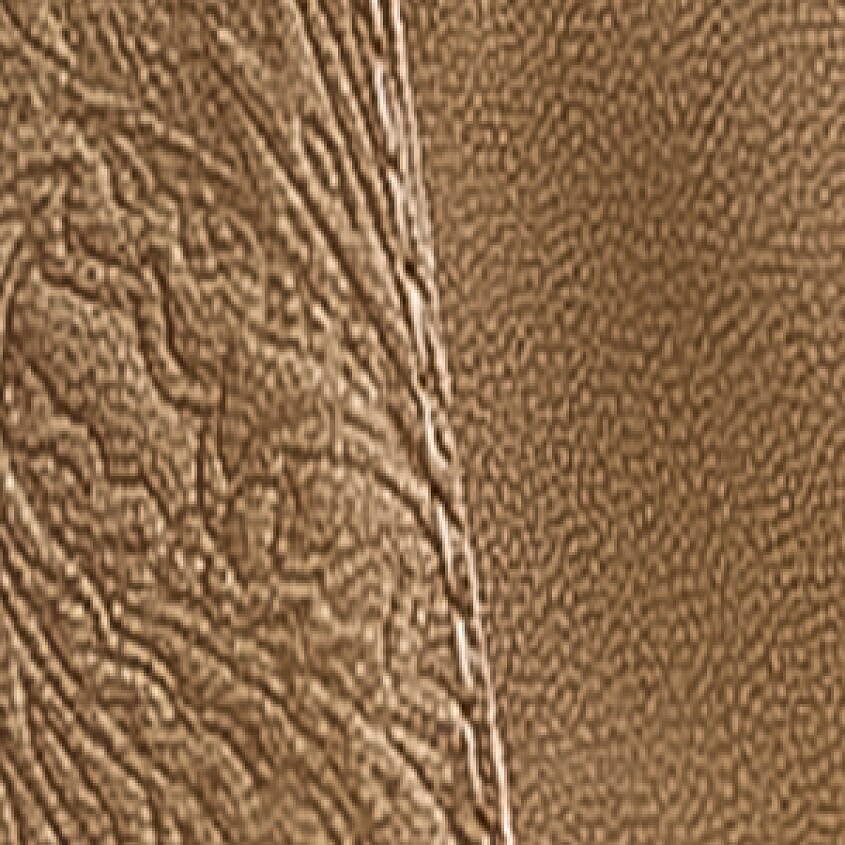 Tan