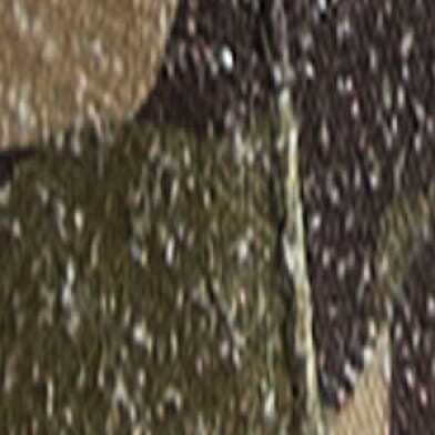 Wendy Essential Camo Shoe thumbnail 3