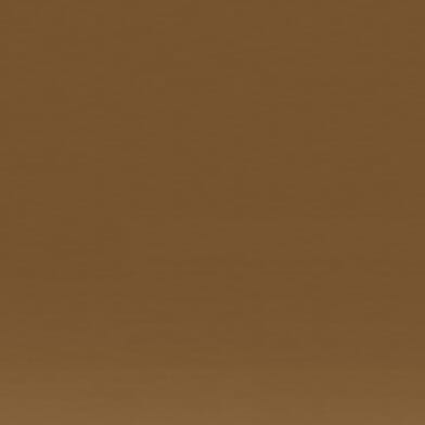Brown Gradient Polar