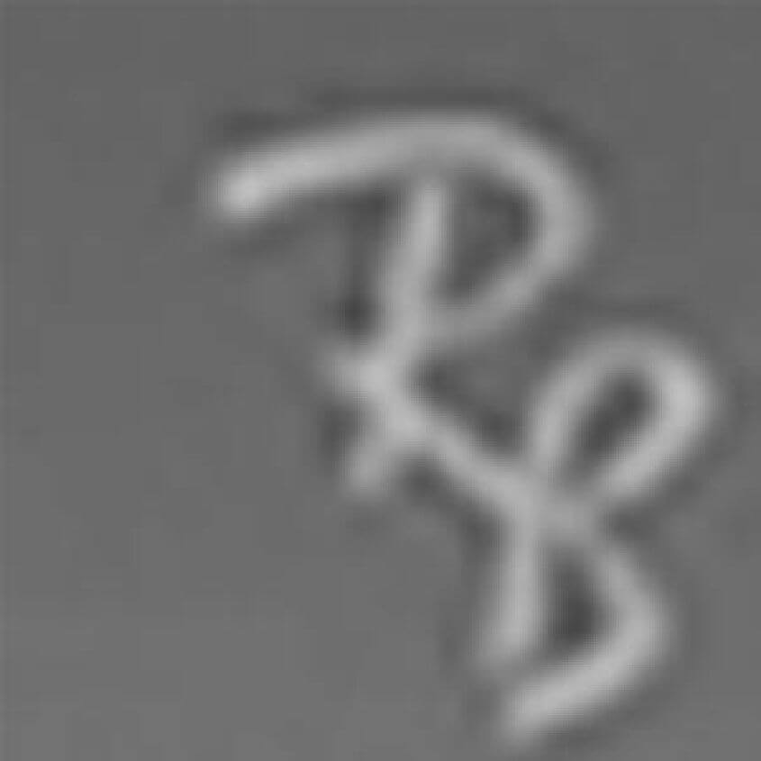 Rubber Black Grey Grad
