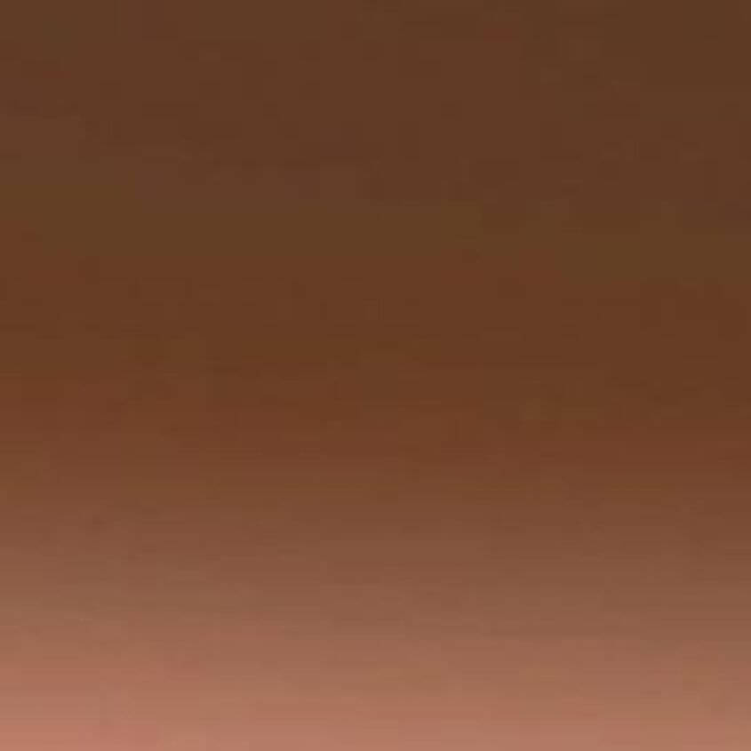Pink Pink Grad Brown