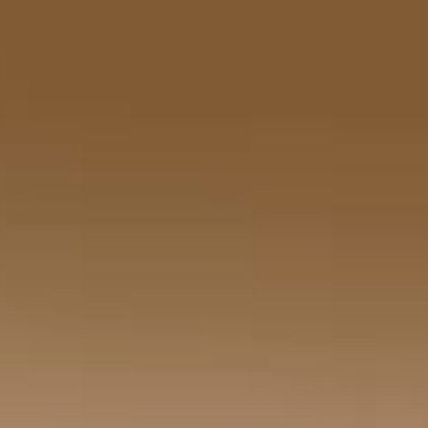 Arista Clear Grad Brown