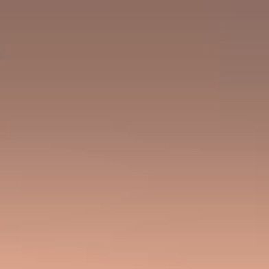 Tortledove
