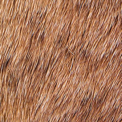 Cowhide