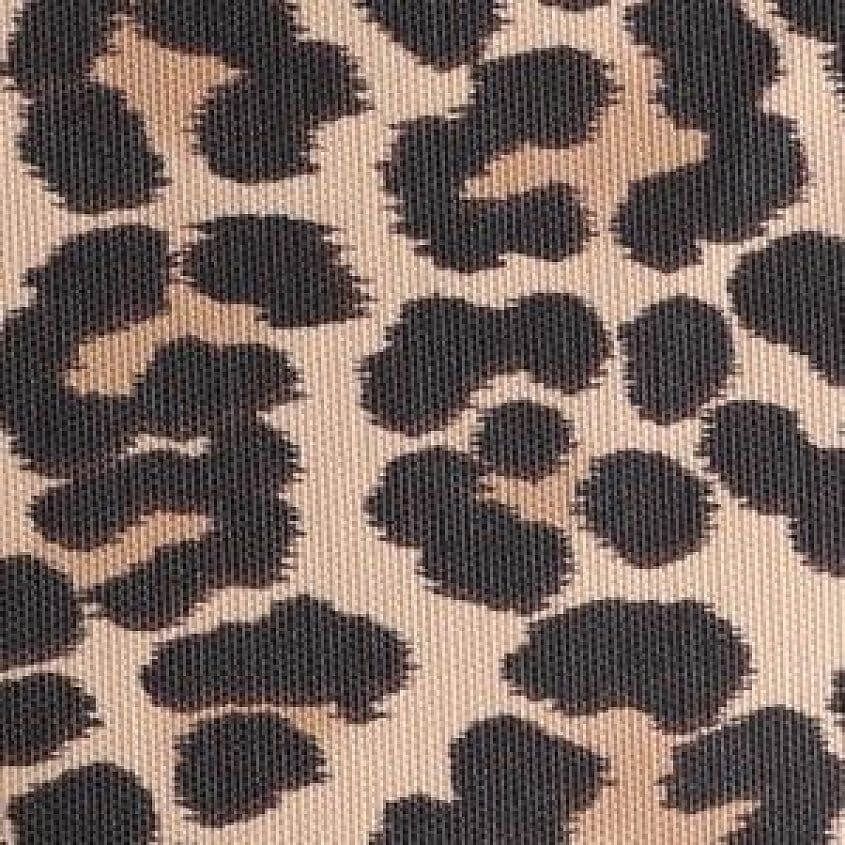 Brown Leopard
