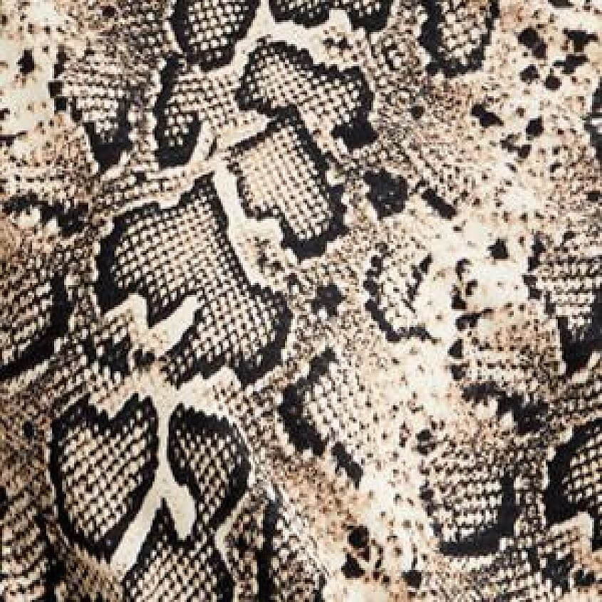 Snake