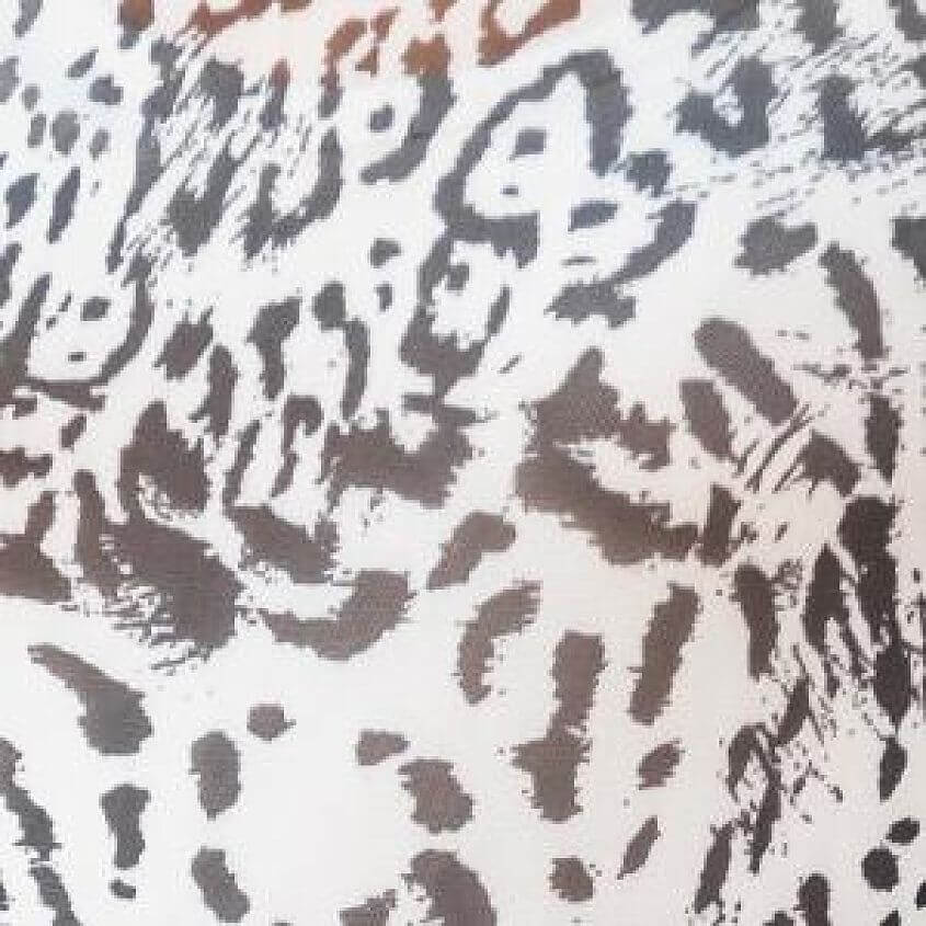 White Cheetah