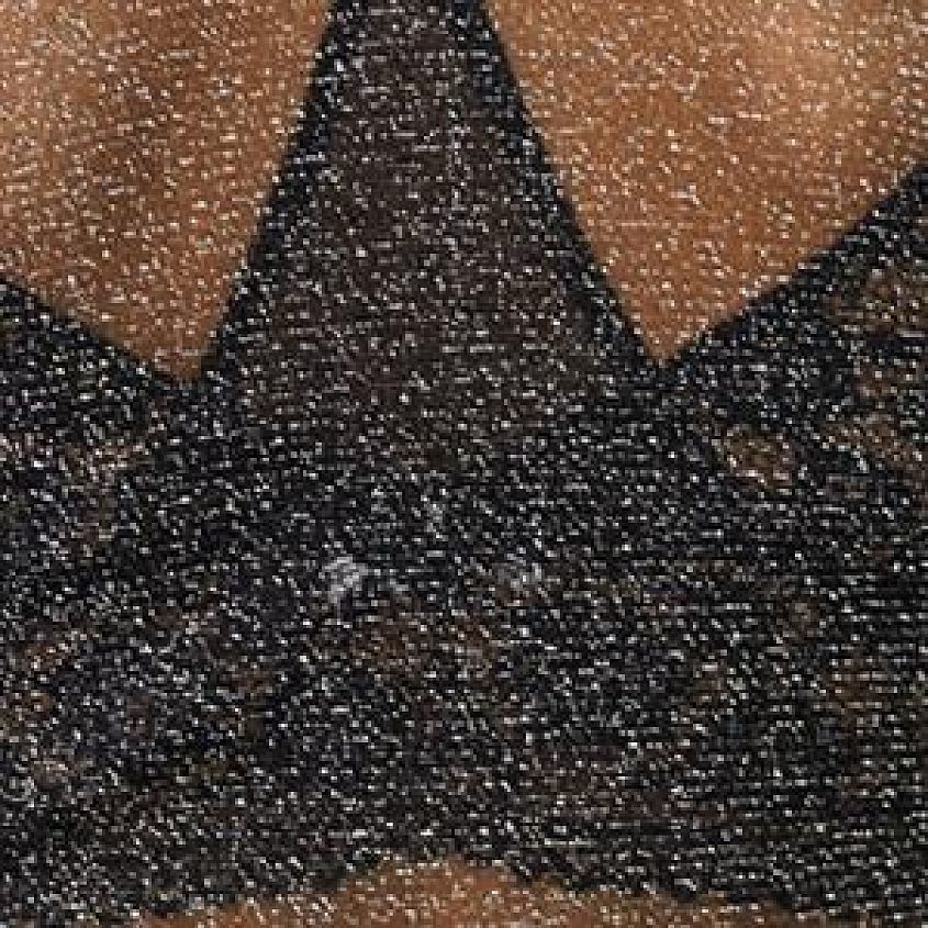 Black Lurex