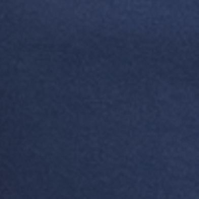Insignia Blue