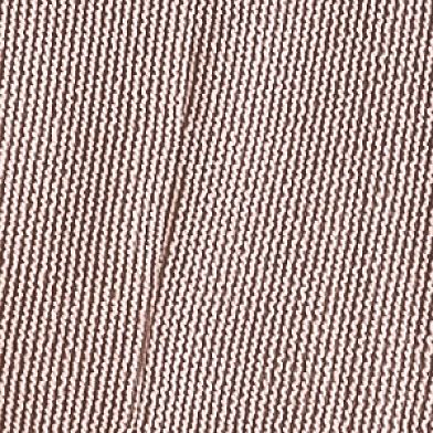 Acorn