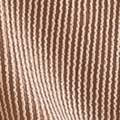 Acorn