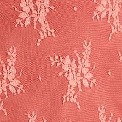 Burnt Coral