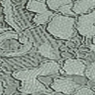 Agave Green