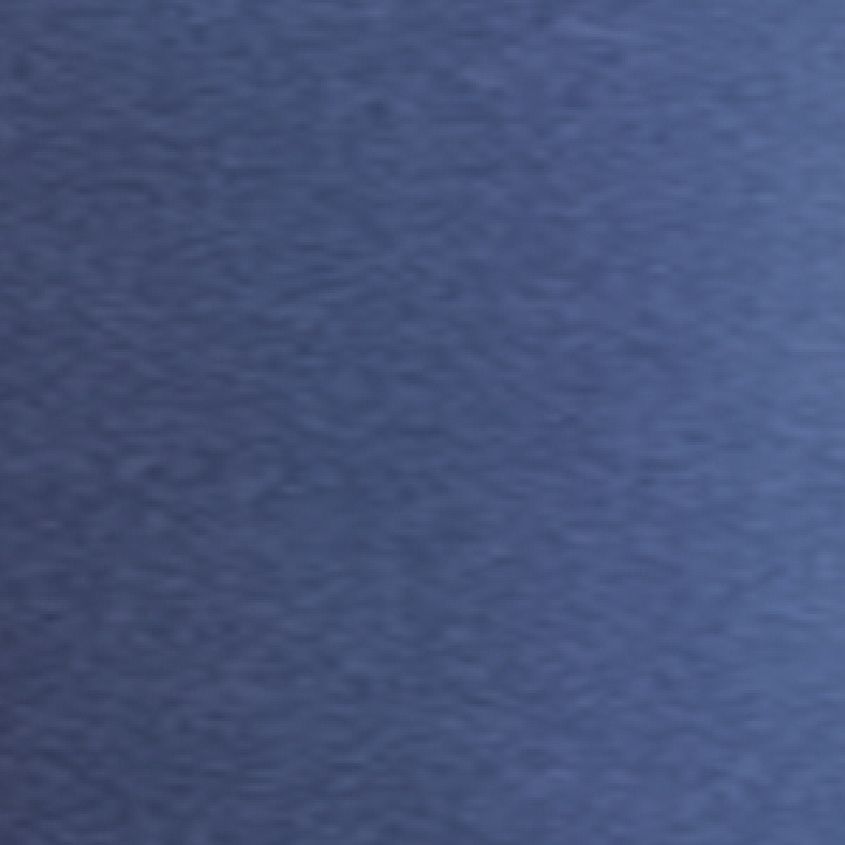 Insignia Blue