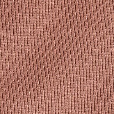 Acorn